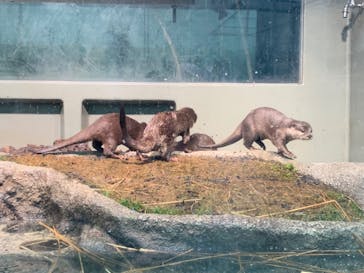 サンシャイン水族館に投稿された画像（2022/3/18）