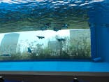 サンシャイン水族館に投稿された画像（2022/3/18）
