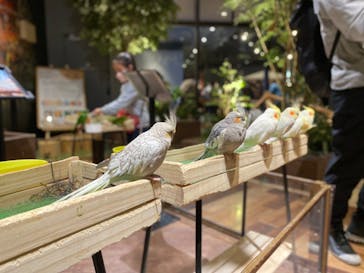 Moff animal world MARK IS みなとみらい店に投稿された画像（2022/3/18）