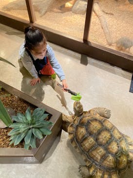 Moff animal world MARK IS みなとみらい店に投稿された画像（2022/3/18）