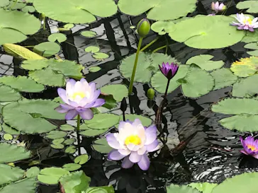 神戸どうぶつ王国に投稿された画像（2022/3/18）