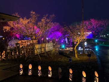 せんだい農業園芸センター　みどりの杜に投稿された画像（2022/3/18）