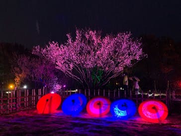 せんだい農業園芸センター　みどりの杜に投稿された画像（2022/3/18）