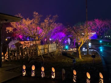 せんだい農業園芸センター　みどりの杜に投稿された画像（2022/3/18）