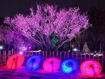 せんだい農業園芸センター　みどりの杜に投稿された画像（2022/3/18）