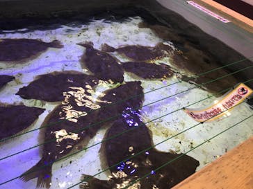 南知多ビーチランド＆南知多おもちゃ王国に投稿された画像（2022/3/18）