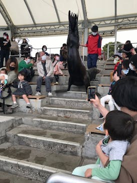 南知多ビーチランド＆南知多おもちゃ王国に投稿された画像（2022/3/18）