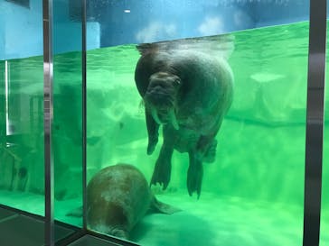 南知多ビーチランド＆南知多おもちゃ王国に投稿された画像（2022/3/18）