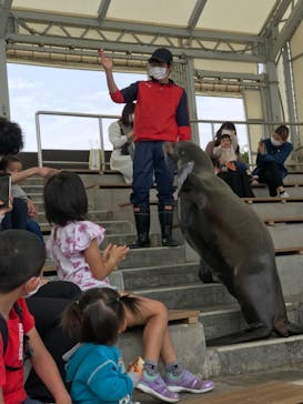 南知多ビーチランド＆南知多おもちゃ王国に投稿された画像（2022/3/18）