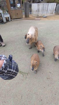 伊豆シャボテン動物公園に投稿された画像（2022/3/18）