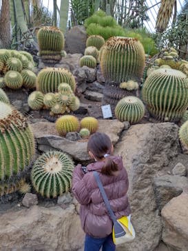 伊豆シャボテン動物公園に投稿された画像（2022/3/18）