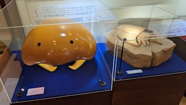 国立科学博物館　特別企画展「ポケモン化石博物館」に投稿された画像（2022/3/19）