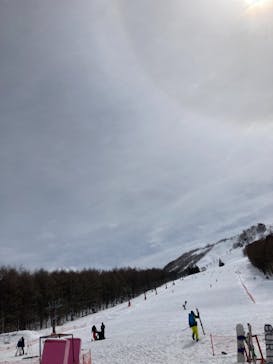 しらかば2in1スキー場に投稿された画像（2022/3/19）