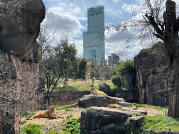 天王寺動物園に投稿された画像（2022/3/19）