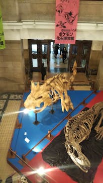 国立科学博物館　特別企画展「ポケモン化石博物館」に投稿された画像（2022/3/19）