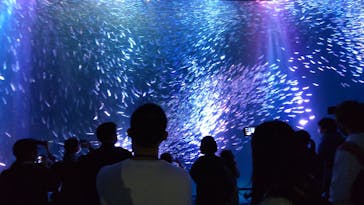 名古屋港水族館に投稿された画像（2022/3/19）