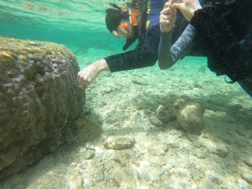 沖縄マリンサービス碧に投稿された画像（2022/3/19）