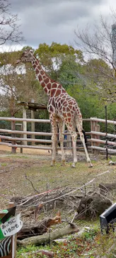 天王寺動物園に投稿された画像（2022/3/19）