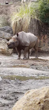 天王寺動物園に投稿された画像（2022/3/19）