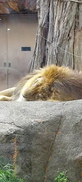 天王寺動物園に投稿された画像（2022/3/19）