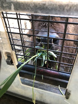 群馬サファリパークに投稿された画像（2022/3/19）