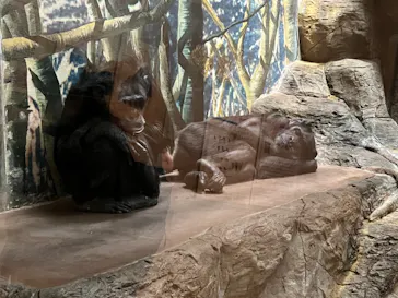 天王寺動物園に投稿された画像（2022/3/19）