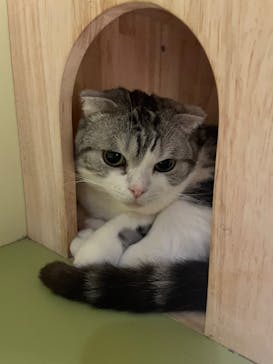 Moff animal world MARK IS みなとみらい店に投稿された画像（2022/3/19）