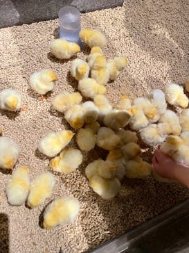 Moff animal world MARK IS みなとみらい店に投稿された画像（2022/3/19）