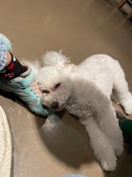 Moff animal world MARK IS みなとみらい店に投稿された画像（2022/3/19）