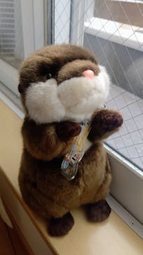 新江ノ島水族館に投稿された画像（2022/3/19）