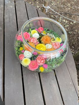 ムーミンバレーパークに投稿された画像（2022/3/19）