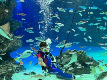 サンシャイン水族館に投稿された画像（2022/3/19）