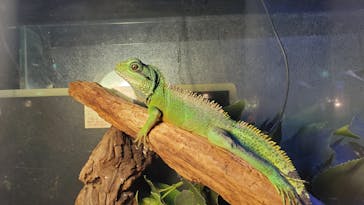 Moff animal world MARK IS みなとみらい店に投稿された画像（2022/3/19）