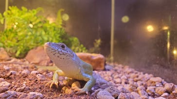 Moff animal world MARK IS みなとみらい店に投稿された画像（2022/3/19）