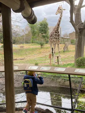 天王寺動物園に投稿された画像（2022/3/19）