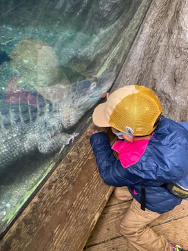天王寺動物園に投稿された画像（2022/3/19）