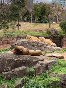 天王寺動物園に投稿された画像（2022/3/19）