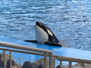 名古屋港水族館に投稿された画像（2022/3/19）