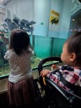 しながわ水族館に投稿された画像（2022/3/19）