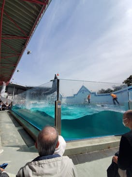 しながわ水族館に投稿された画像（2022/3/19）