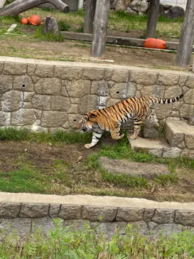 天王寺動物園に投稿された画像（2022/3/19）