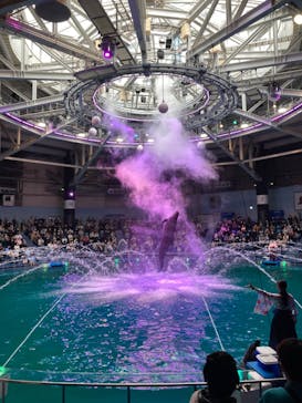 マクセル アクアパーク品川に投稿された画像（2022/3/19）