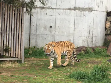 天王寺動物園に投稿された画像（2022/3/19）