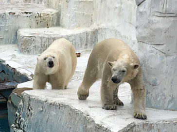 天王寺動物園に投稿された画像（2022/3/19）