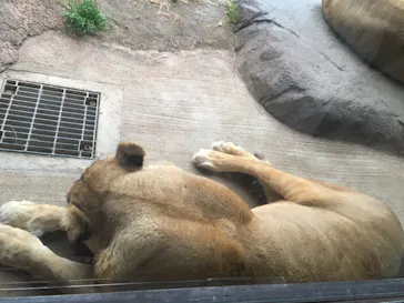 天王寺動物園に投稿された画像（2022/3/19）