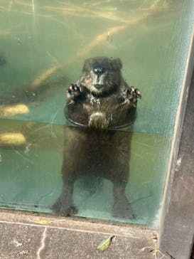 東武動物公園に投稿された画像（2022/3/19）