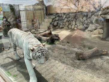 東武動物公園に投稿された画像（2022/3/19）
