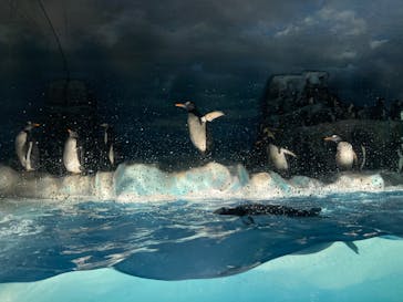 名古屋港水族館に投稿された画像（2022/3/19）