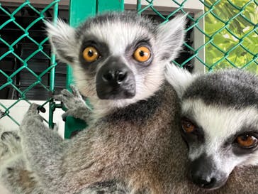 那須ワールドモンキーパークに投稿された画像（2022/3/19）