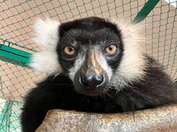 那須ワールドモンキーパークに投稿された画像（2022/3/19）